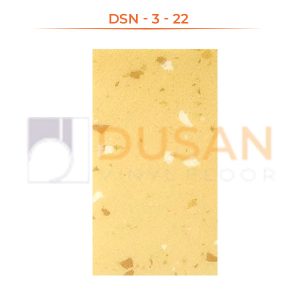 DSN---3---22