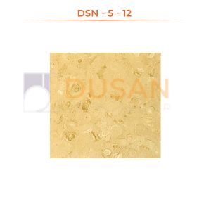 DSN---5---12