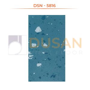 DSN---5816