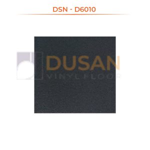 DSN---D6010