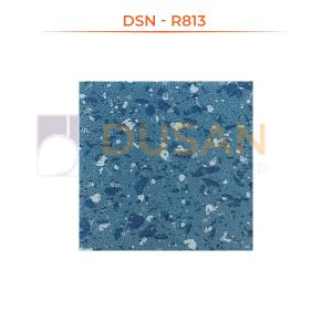 DSN---R813