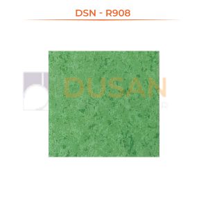 DSN---R908